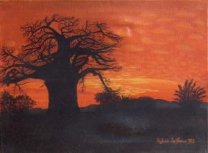 Baobab - gevoelswereld