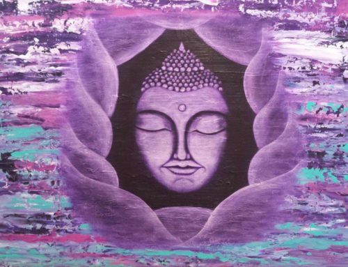 “Zen in de chaos” van Sylvia te Braake